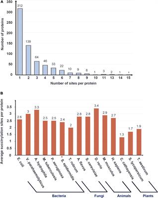 Comprehensive Succinylome Profiling Reveals the Pivotal Role of Lysine Succinylation in Energy Metabolism and Quorum Sensing of Staphylococcus epidermidis